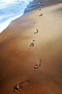 Footprints in the sand