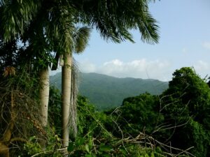 Puerto Rico View
